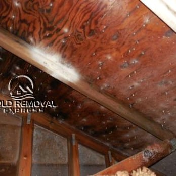 Mold Removal Express - Damage Restoration Near Me - Boulder, Colorado