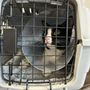 Photo of Animal Emergency Clinic