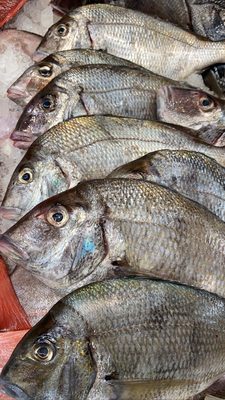 Avenue U Fish Market by null