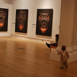 New Walk Museum & Art Gallery