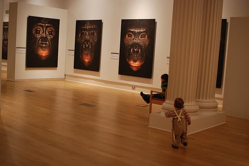 New Walk Museum & Art Gallery