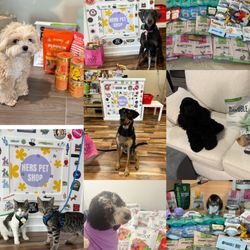 Hers Pet Shop