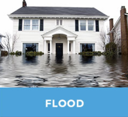 Sunny State Insurance