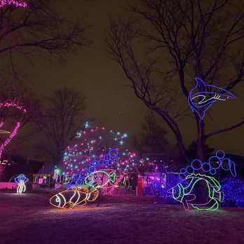 Denver Zoo Lights - Festivals Near Me - Denver, Colorado