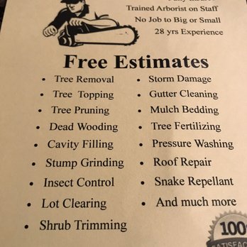 Beyond The Leaf Tree & Stump Removal - Company flyer - Tree Services Near Me - High Point, North Carolina