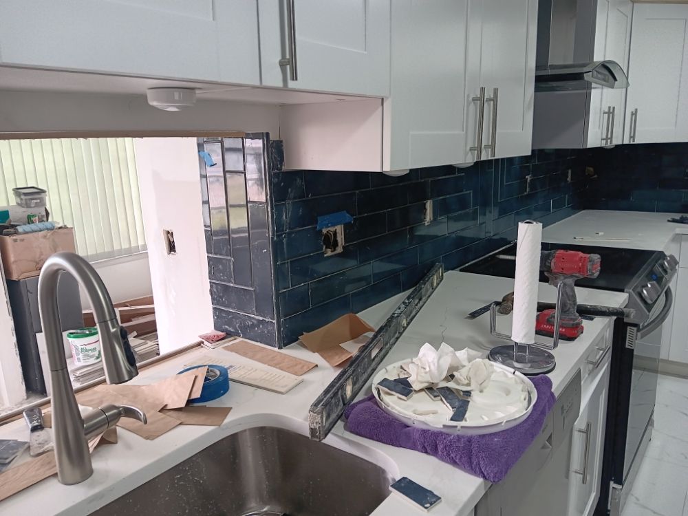 Slide of Pakmarica Painters Florida