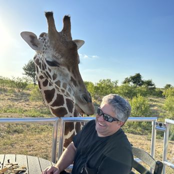 Blue Hills Ranch - Giraffe kisses are funny - Hotels Near Me - McGregor, Texas