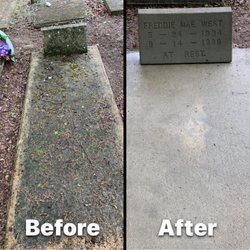 Spray and Stain