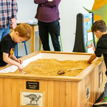 Discover Children's Museum - Children's Museums Near Me - Centralia, Washington Discover Children's Museum - Children's Museums Near Me - Centralia, Washington