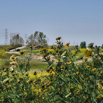 Dominguez Gap Wetlands photo 9