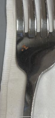 Salvadorian Cuisine by null