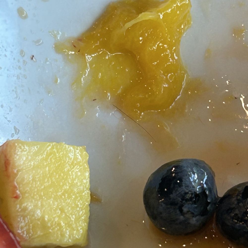 Another Broken Egg Cafe - Hair in my fruit - Breakfast & Brunch Near Me - Delray Beach, Florida Another Broken Egg Cafe - Hair in my fruit - Breakfast & Brunch Near Me - Delray Beach, Florida