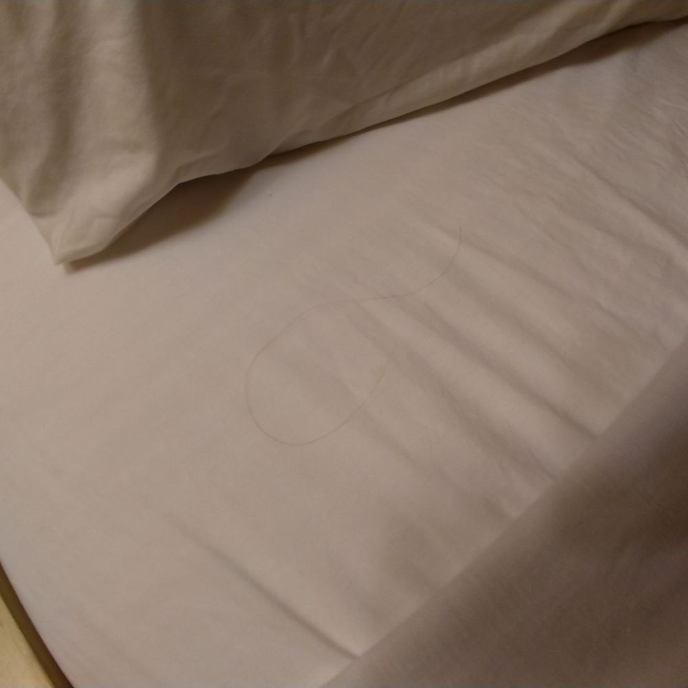 Motel 6 - Hair in bed - Hotels Near Me - Chino, California