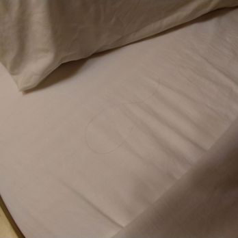 Motel 6 - Hair in bed - Hotels Near Me - Chino, California Motel 6 - Hair in bed - Hotels Near Me - Chino, California