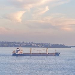 Marmara Guesthouse - A passing cargo boat on the Marmara, as taken from hotel's terrace.