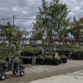 Garden View Nursery - Nurseries & Gardening Near Me - Irwindale, California