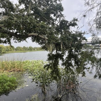 Winnie Palmer Nature Walk - Hiking Near Me - Orlando, Florida