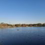 Photo of Winnie Palmer Nature Walk