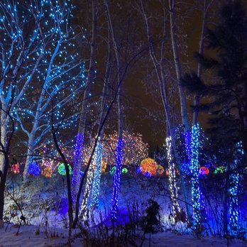 Blossoms of Light - Botanical Gardens Near Me - Denver, Colorado