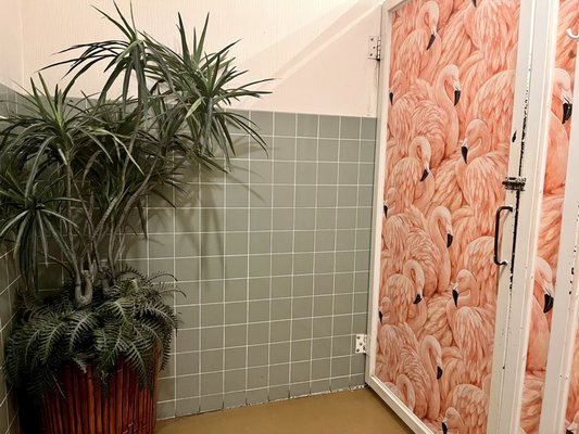 Kitty Cohen's by null