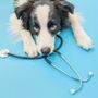 Photo of Harwood Pet Hospital