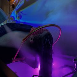 Serene Head Spa