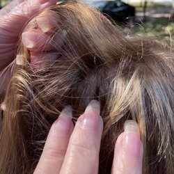 Purple Pinkie Salon - Highlights