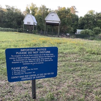 The Bat House - Rules for watching - Active Life Near Me - Gainesville, Florida