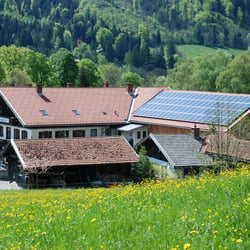 Schnapperwirt