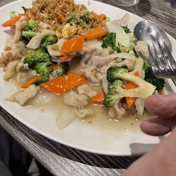 Wild Ginger Asian Bistro - Chicken and Broccoli - Asian Fusion Near Me - Gilbert, Arizona Wild Ginger Asian Bistro - Chicken and Broccoli - Asian Fusion Near Me - Gilbert, Arizona