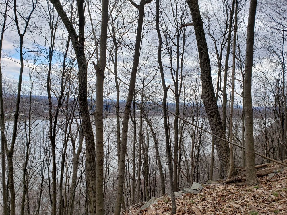 FRANNY REESE STATE PARK Updated September 2024 36 Photos 286 Haviland Rd, Highland, New