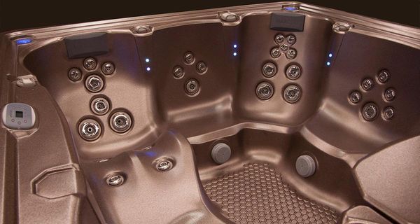 Sonoma Backyard by null