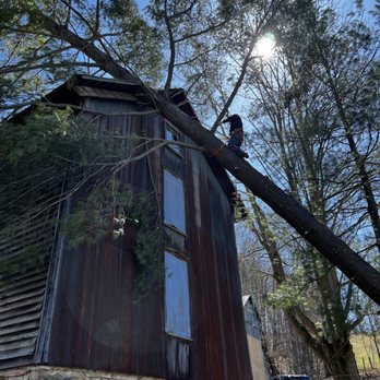 Gordon W. Frazier Tree Service - Tree Services Near Me - Culpeper, Virginia Gordon W. Frazier Tree Service - Tree Services Near Me - Culpeper, Virginia