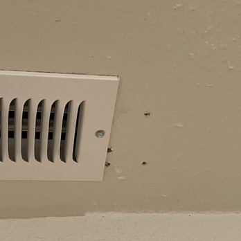 Taylor Heating & Air Conditioning - holes in the ceiling - mistakes, not patched - Heating & Air Conditioning/HVAC Near Me - Puyallup, Washington Taylor Heating & Air Conditioning - holes in the ceiling - mistakes, not patched - Heating & Air Conditioning/HVAC Near Me - Puyallup, Washington