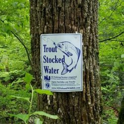 Black River County Park - The Black River is Stocked with Trout