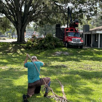 Dave's Professional Tree Services - Tree Services Near Me Dave's Professional Tree Services - Tree Services Near Me
