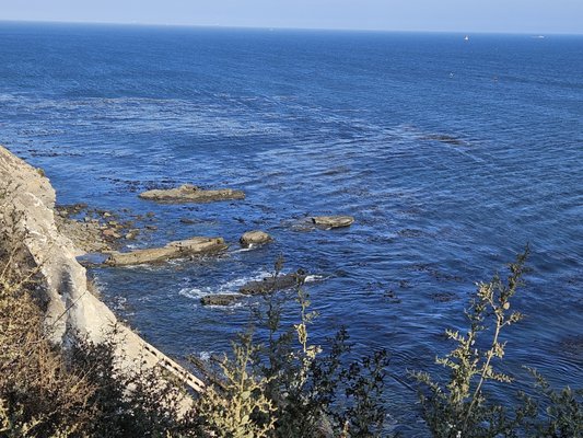 Point Fermin Park by null