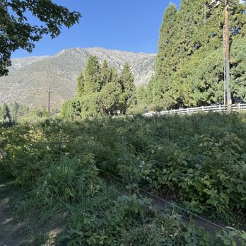 Snow-Line Orchard - Fruits & Veggies Near Me - Oak Glen, California Snow-Line Orchard - Fruits & Veggies Near Me - Oak Glen, California