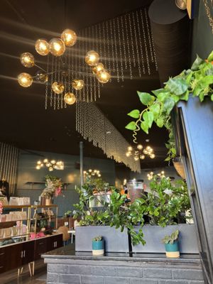 JACOB ALEJANDRO by null