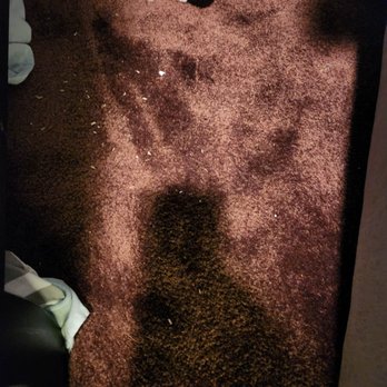 Clean & Handee - Bad vacuum - Home Cleaning Near Me Clean & Handee - Bad vacuum - Home Cleaning Near Me