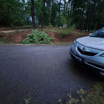 North Shore Landing - Campgrounds Near Me - Greensboro, Georgia North Shore Landing - Campgrounds Near Me - Greensboro, Georgia