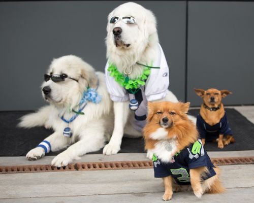 Northwest Film Forum by null