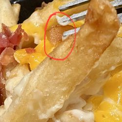 Wendy's - Hair in fries