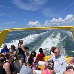 Dolphin Racer Speedboat