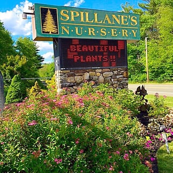 Spillane's Nursery - Nursery Sign - Nurseries & Gardening Near Me - Middleborough, Massachusetts