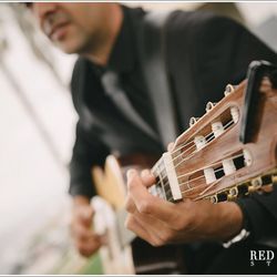 Ceremony Guitar