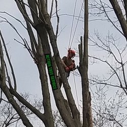 Action Tree Service