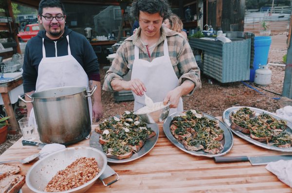 Saddlerock Gardens by null