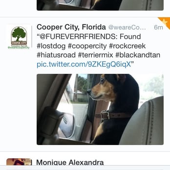 FureverFriends Dog Walking LLC - This is how we found each other on twitter!! So thankful!! - Dog Walkers Near Me - Hollywood, Florida