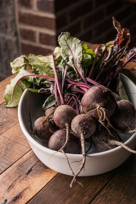 Kindred Fare by null